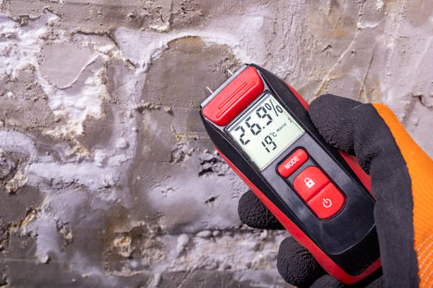 Best Commercial Mold Remediation in Red Bay, AL