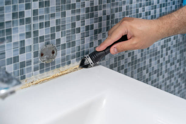 Best Residential Mold Remediation in Red Bay, AL