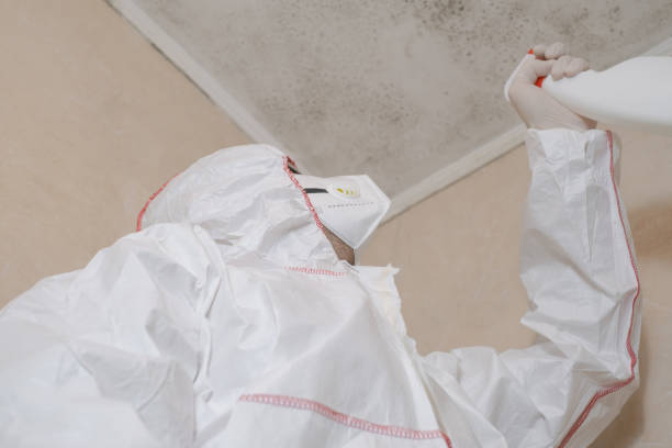 Best Mold Testing and Inspection Services in Red Bay, AL
